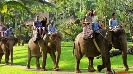 エレファントライド_04